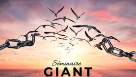 Séminaire GIANT