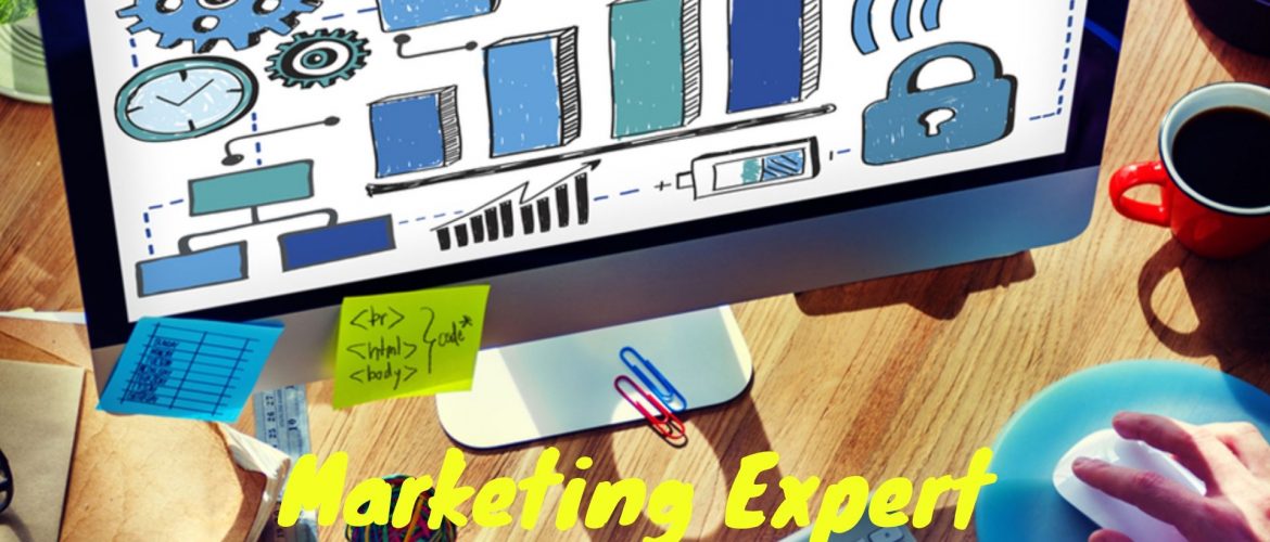 Marketing expert steeve hamblin